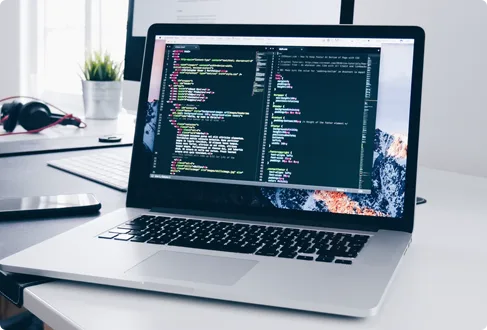 Our Comprehensive SEO Approach Is Your
                      - 狗子28