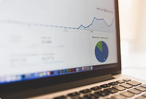 Our Comprehensive SEO Approach Is Your
                      - 狗子28