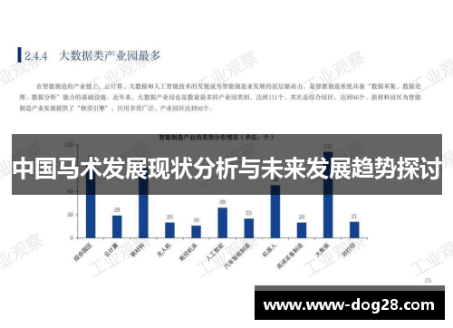 中国马术发展现状分析与未来发展趋势探讨